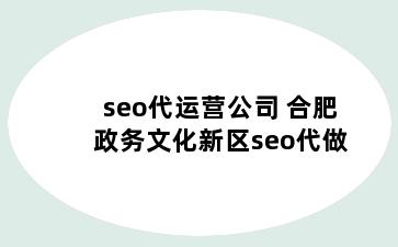 seo代运营公司 合肥政务文化新区seo代做